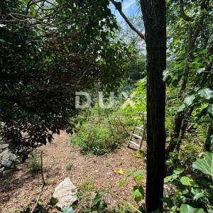 ISTRA, KANFANAR - Simpatična istarska kuća + 490 m2 građevinskog zemljišta!