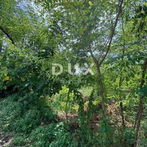 ISTRA, KANFANAR - Simpatična istarska kuća + 490 m2 građevinskog zemljišta!