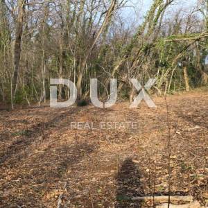 ISTRA, LABIN - Samostojeća kamena kuća s prostranom okućnicom