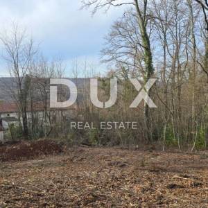 ISTRA, LABIN - Samostojeća kamena kuća s prostranom okućnicom