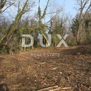 ISTRA, LABIN - Samostojeća kamena kuća s prostranom okućnicom