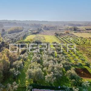 Istra, Lovrečica- građevinsko zemljište 683 m2
