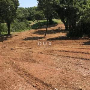 ISTRA, MARČANA - Građevinski teren 1137 m2