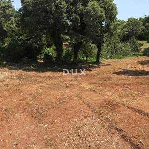 ISTRA, MARČANA - Građevinski teren 1137 m2