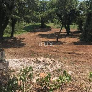 ISTRA, MARČANA - Građevinski teren 1137 m2