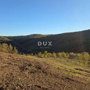 ISTRA, MOTOVUN - Građevinsko zemljište na osami s pogledom