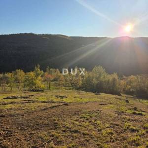 ISTRA, MOTOVUN - Građevinsko zemljište na osami s pogledom