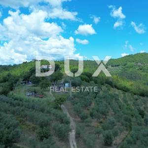 ISTRA, MOTOVUN - Veliko imanje od 170.000 m2, najljepši pogled u Istri - jezero Butoniga, Učka, Ćićarija, Motovun i Motovunska ...