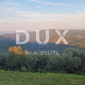 ISTRA, MOTOVUN - Veliko imanje od 170.000 m2, najljepši pogled u Istri - jezero Butoniga, Učka, Ćićarija, Motovun i Motovunska ...