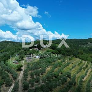 ISTRA, MOTOVUN - Veliko imanje od 170.000 m2, najljepši pogled u Istri - jezero Butoniga, Učka, Ćićarija, Motovun i Motovunska ...