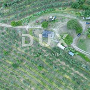 ISTRA, MOTOVUN - Veliko imanje od 170.000 m2, najljepši pogled u Istri - jezero Butoniga, Učka, Ćićarija, Motovun i Motovunska ...