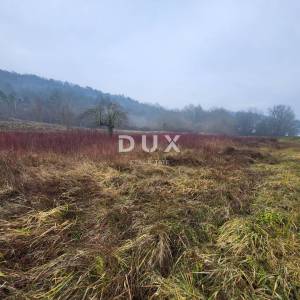 ISTRA, PIĆAN - Prostrano građevinsko zemljište u mirnom naselju