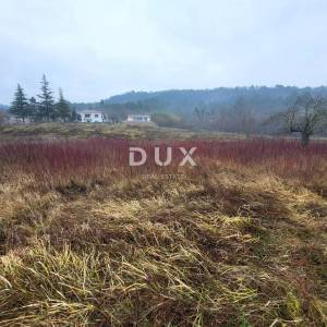 ISTRA, PIĆAN - Prostrano građevinsko zemljište u mirnom naselju