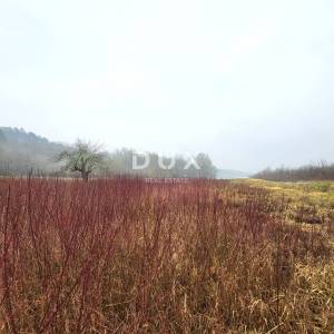 ISTRA, PIĆAN - Prostrano građevinsko zemljište u mirnom naselju