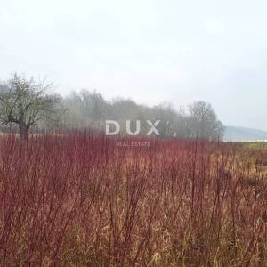 ISTRA, PIĆAN - Prostrano građevinsko zemljište u mirnom naselju