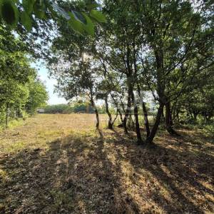 Istra, Poreč - okolica, poljoprivredno zemljište