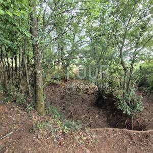 Istra, Poreč - okolica, poljoprivredno zemljište