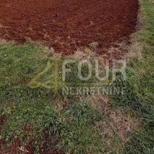 Istra, Poreč - okolica, poljoprivredno zemljište,1180m2