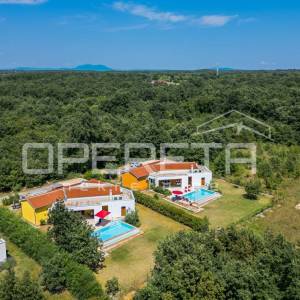 Istra, Svetvinčenat, dvije vile u kompletu, bazen, sauna, namješteno