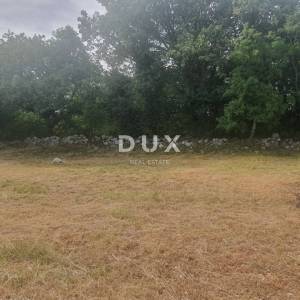 ISTRA, VIŠNJAN - Građevinsko zemljište s idejnim projektom