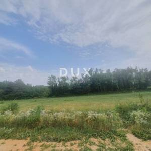 ISTRA, VIŠNJAN - Građevinsko zemljište s idejnim projektom