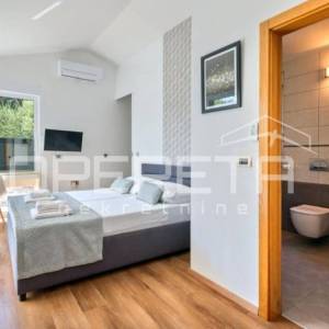 Istra, Višnjan- Moderna kuća s bazenom