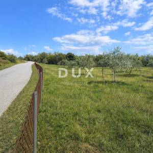 ISTRA, VODNJAN - Autentičan maslinik s dušom