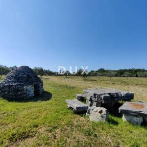 ISTRA, VODNJAN - Autentičan maslinik s dušom