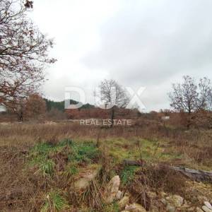 ISTRA, VODNJAN - Građevinsko zemljište s izdanom građevinskom dozvolom