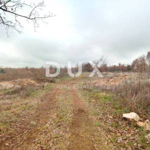 ISTRA, VODNJAN - Građevinsko zemljište s izdanom građevinskom dozvolom