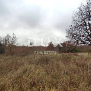 ISTRA, VODNJAN - Građevinsko zemljište s izdanom građevinskom dozvolom