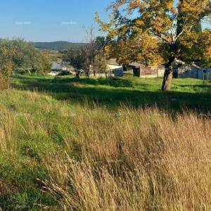 Izvrsna prilika- imanje s kamenom kućom, velikim zemljištem i pomoćnim objektima- blizina Rovinja!