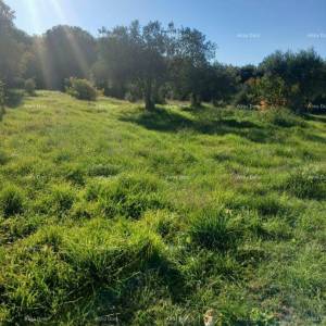 Izvrsna prilika- imanje s kamenom kućom, velikim zemljištem i pomoćnim objektima- blizina Rovinja!