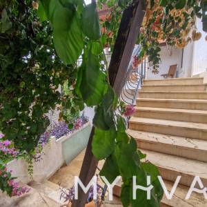 Kamena kuća u starom dijelu Jelse