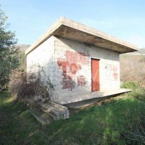 Kaštel Novi, poljoprivedno maslinik, 14436m2, prodaja