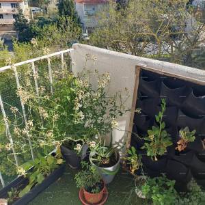 Koparska ulica. Prodaja renoviranog stana na odličnoj lokaciji, u blizini centra grada, Pula!