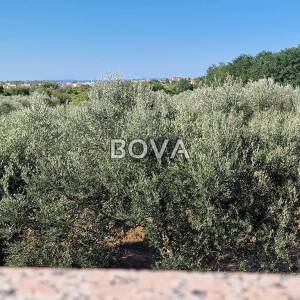 Kuća 280m2 – Privlaka *POGLED MORE* (ID-2578/A)