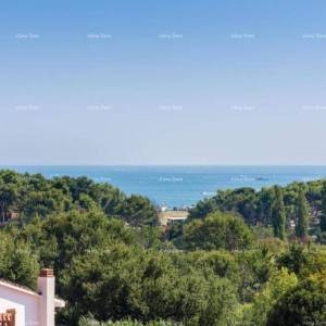 Kuća s apartmanima i bazenom u Premanturi – pogled na more!