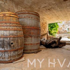 Kuća sa tradicionalnim Dvorom u Dolu