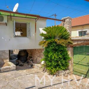 Kuća sa tradicionalnim Dvorom u Dolu