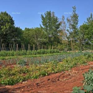Lijepa, moderna kamena Kuća blizu Kanfanara.
