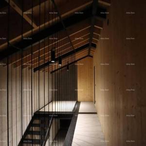 Luksuzna vila s pogledom na Motovun!