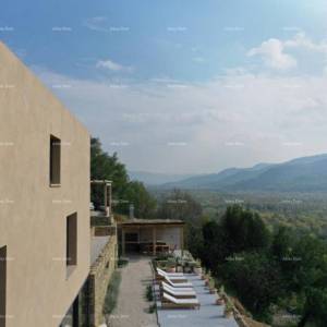 Luksuzna vila s pogledom na Motovun!