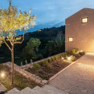 Luksuzna vila s pogledom na Motovun!