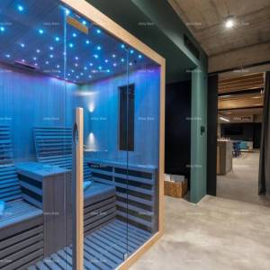 Luksuzna vila s pogledom na Motovun!