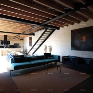 Luksuzna vila s pogledom na Motovun!