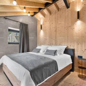 Luksuzna vila s pogledom na Motovun!