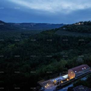 Luksuzna vila s pogledom na Motovun!