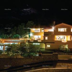 Luksuzna villa s 7 apartmana, Opatija!