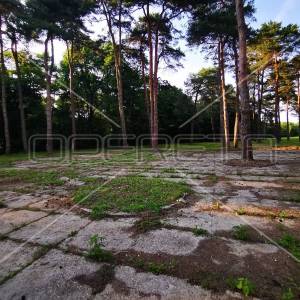 Mačkovec, Mačkovec, 55.355,00 m2, 700.000,00 EUR